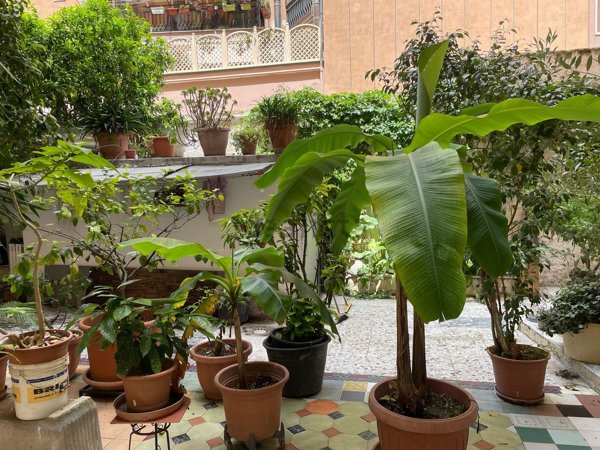 appartamento in vendita a Bari in zona Carrassi