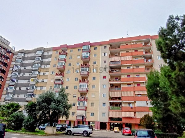 appartamento in vendita a Bari in zona Loseto