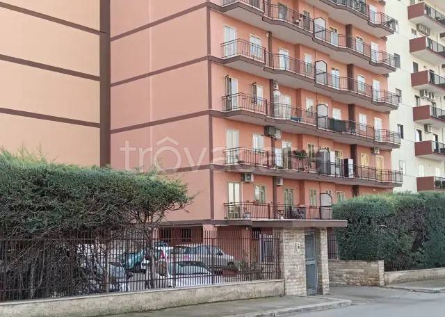 appartamento in vendita a Bari in zona Japigia