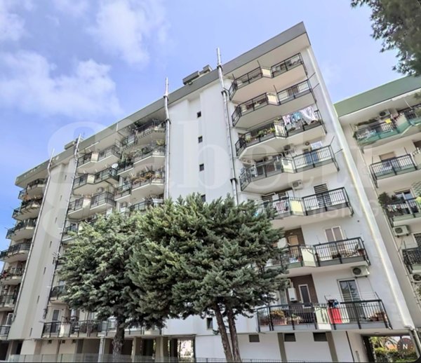 quadrivano in vendita a Bari in zona Japigia