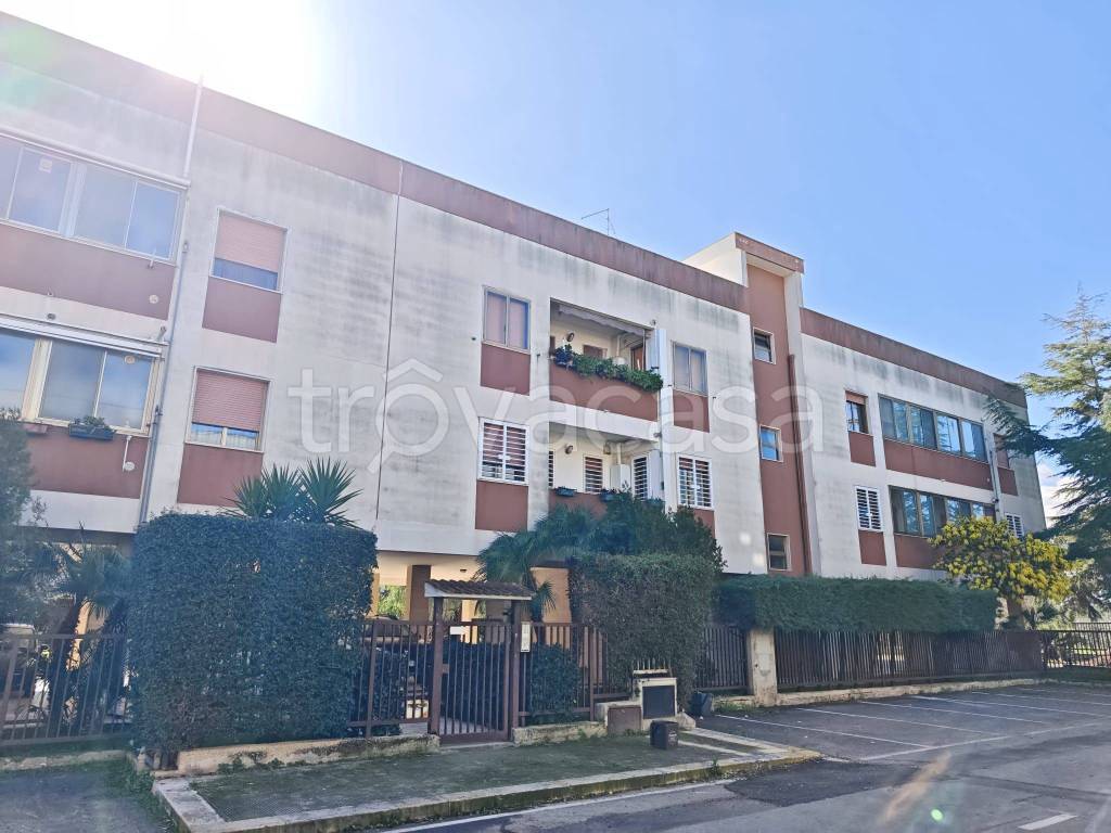 appartamento in vendita a Bari in zona Santo Spirito