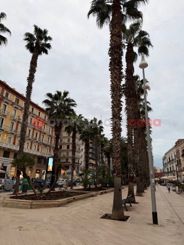 appartamento in vendita a Bari in zona Città Vecchia