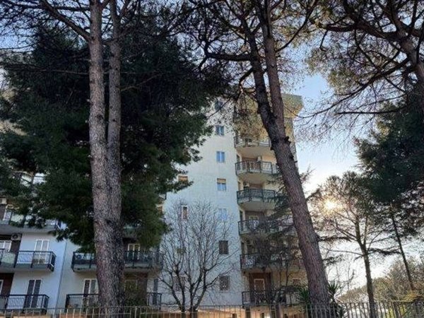 appartamento in vendita a Bari in zona Japigia