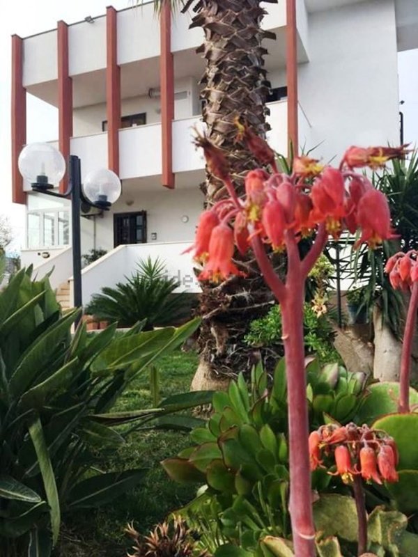 casa indipendente in vendita a Bari in zona Carbonara