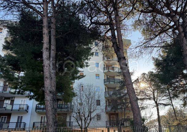 appartamento in vendita a Bari in zona Japigia