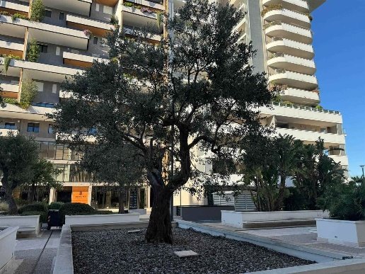 appartamento in vendita a Bari in zona Poggiofranco