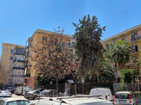 appartamento in vendita a Bari in zona San Pasquale