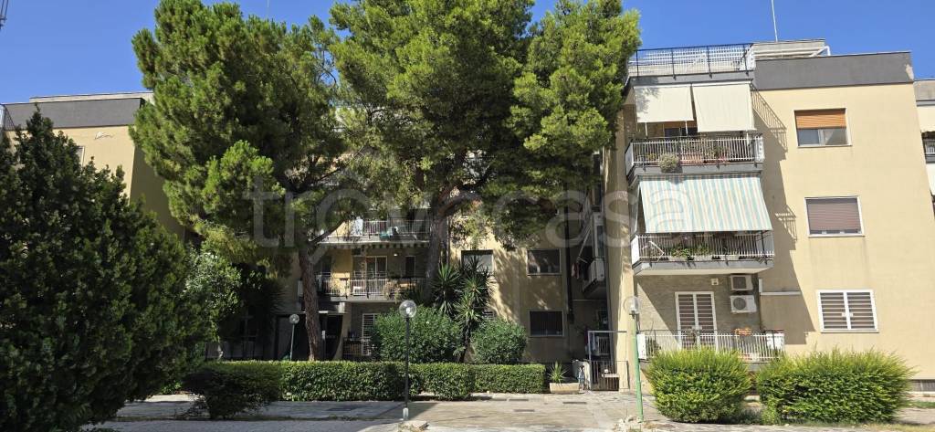 appartamento in vendita a Bari in zona San Pasquale