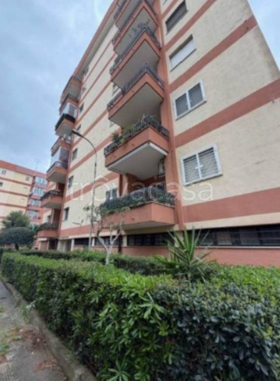 appartamento in vendita a Bari in zona Japigia