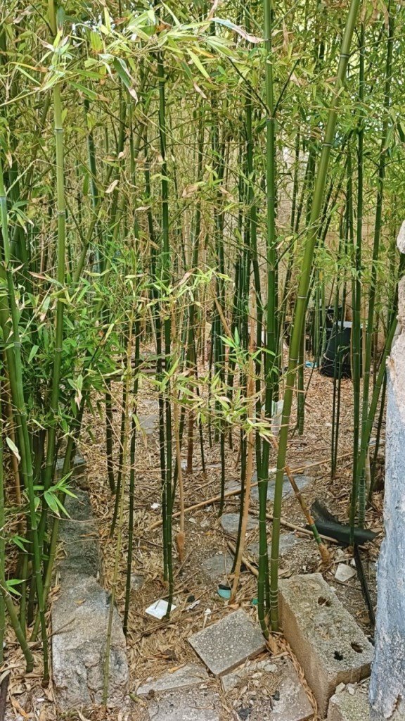 casa indipendente in vendita a Bari in zona Carrassi