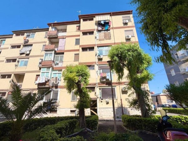 appartamento in vendita a Bari in zona Japigia