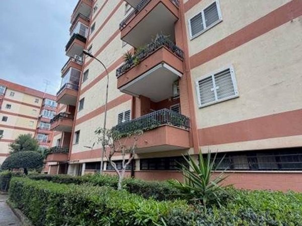 appartamento in vendita a Bari in zona Japigia