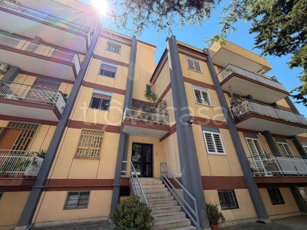appartamento in vendita a Bari in zona San Pasquale