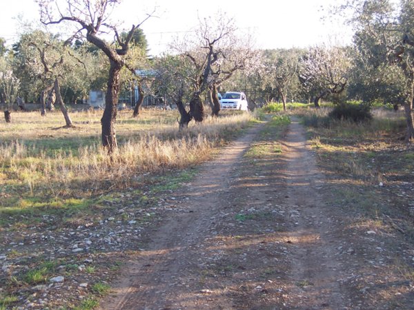 terreno agricolo in vendita a Bari
