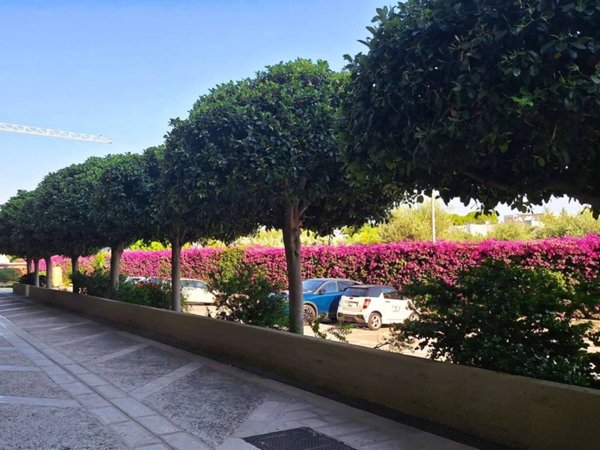 appartamento in vendita a Bari in zona Mungivacca