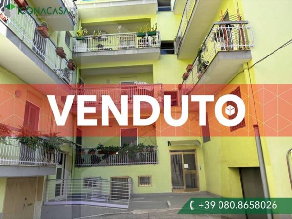 appartamento in vendita a Bitetto
