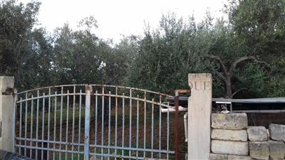 terreno agricolo in vendita a Bitetto