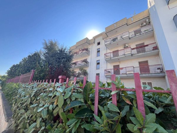 appartamento in vendita a Bitetto