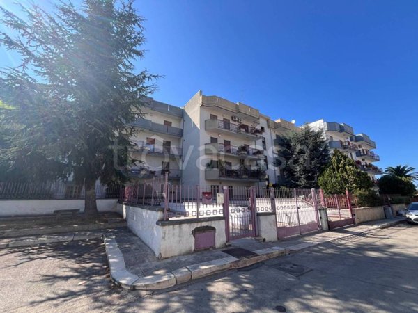 appartamento in vendita a Bitetto