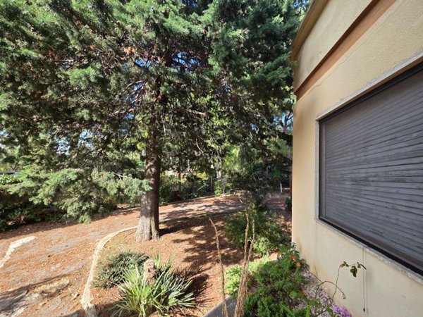 casa indipendente in vendita a Bitetto