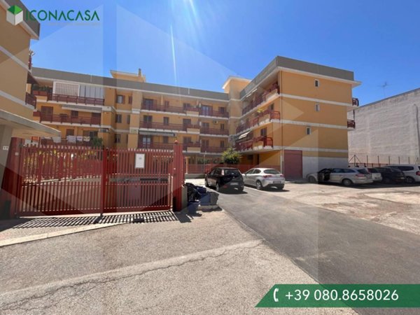 appartamento in vendita a Bitetto