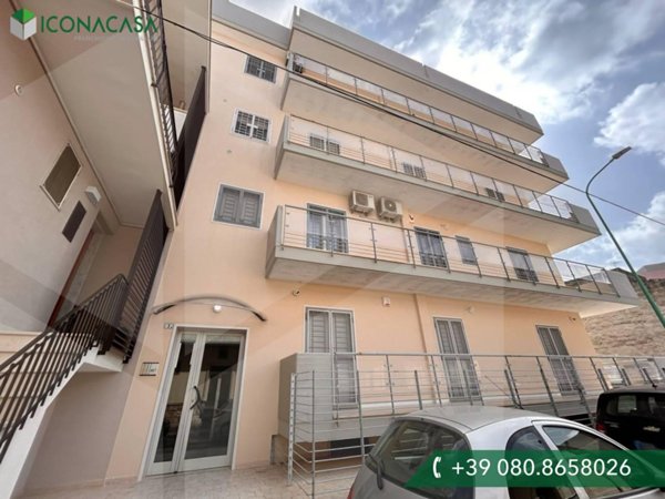 appartamento in vendita a Bitetto