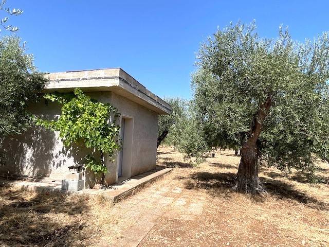 casa indipendente in vendita a Bitetto in zona Contrada Fratta
