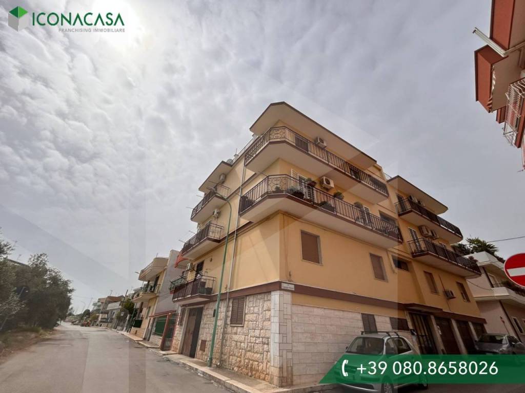 appartamento in vendita a Bitetto