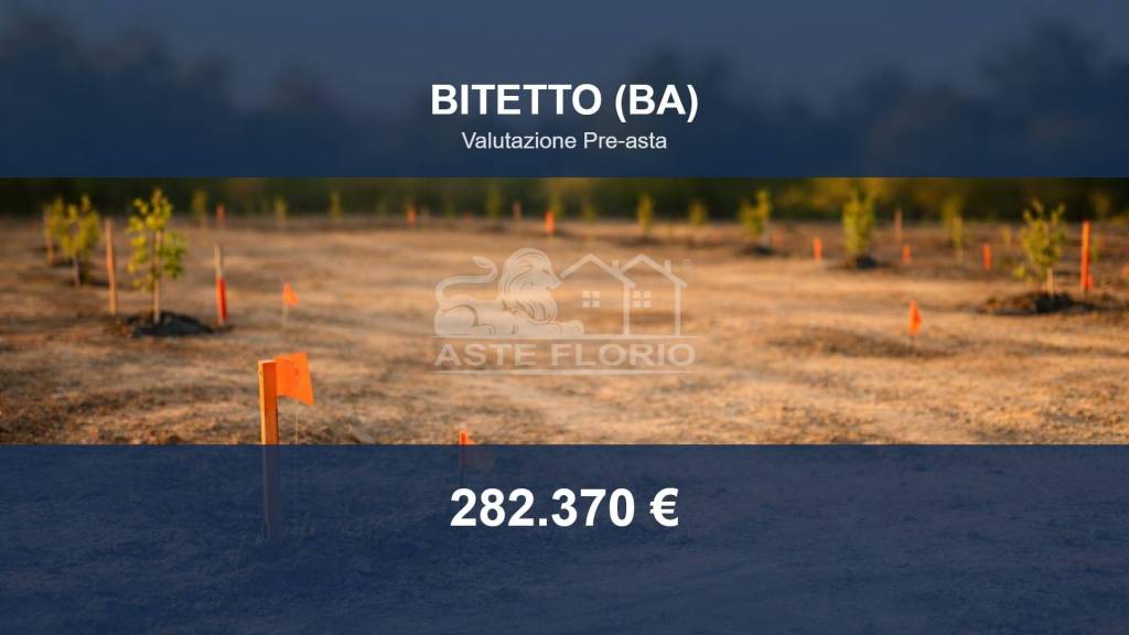 terreno agricolo in vendita a Bitetto