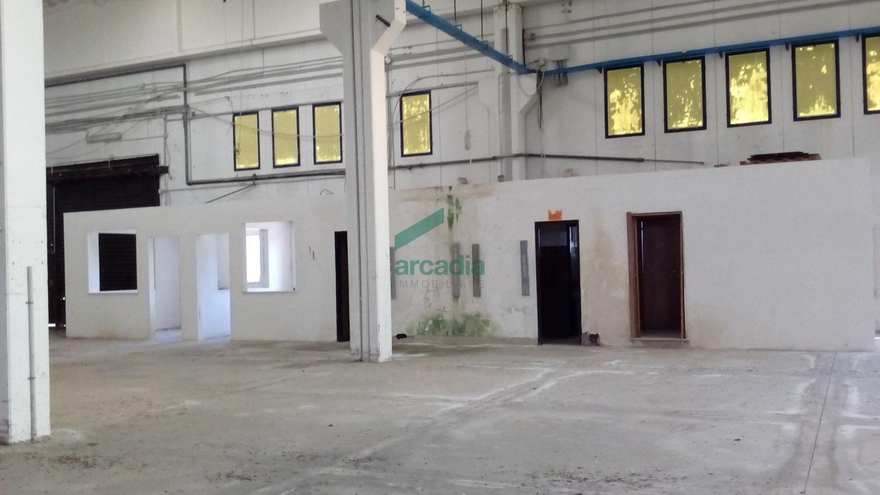 appartamento in vendita a Bitonto