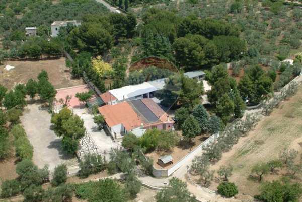 casa indipendente in vendita a Bitonto in zona Borgo Antico