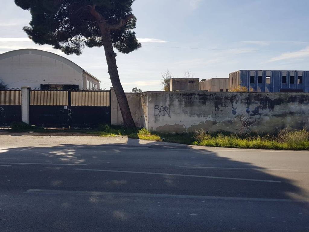 terreno agricolo in vendita a Bitonto
