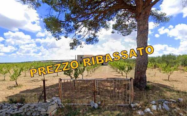 appartamento in vendita a Bitonto