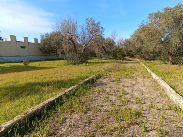 terreno agricolo in vendita a Bitonto