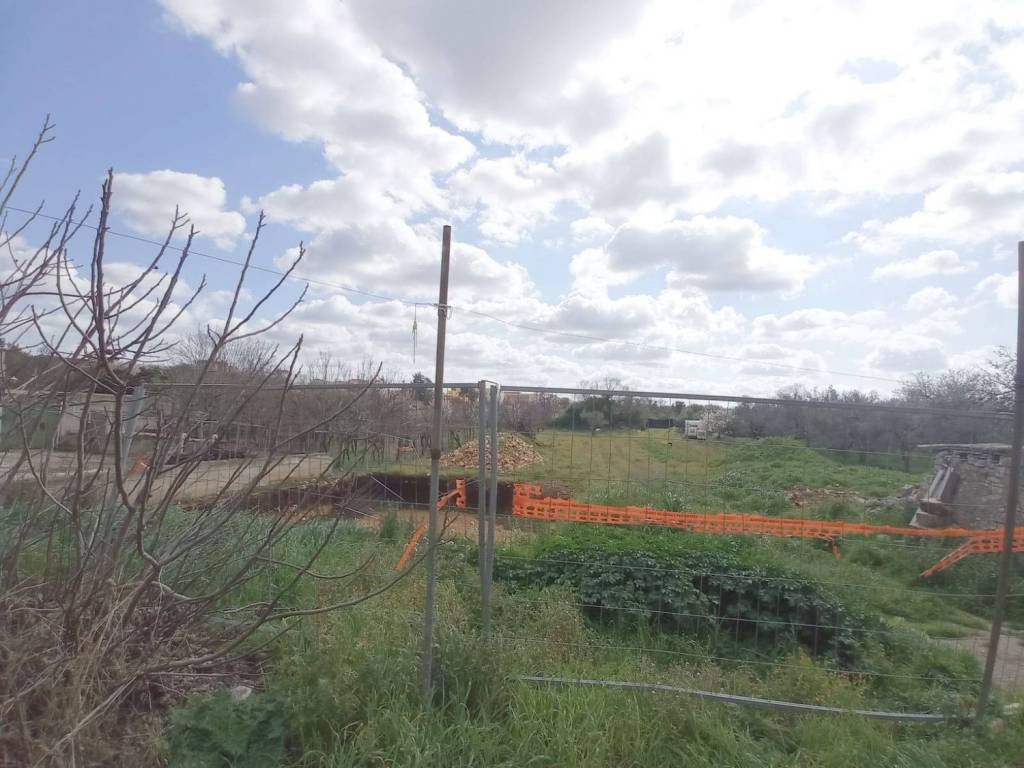 terreno agricolo in vendita a Bitonto in zona Mariotto