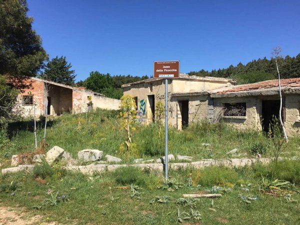 appartamento in vendita a Bitonto