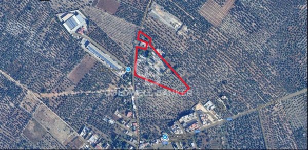terreno agricolo in vendita a Bitonto in zona Palombaio