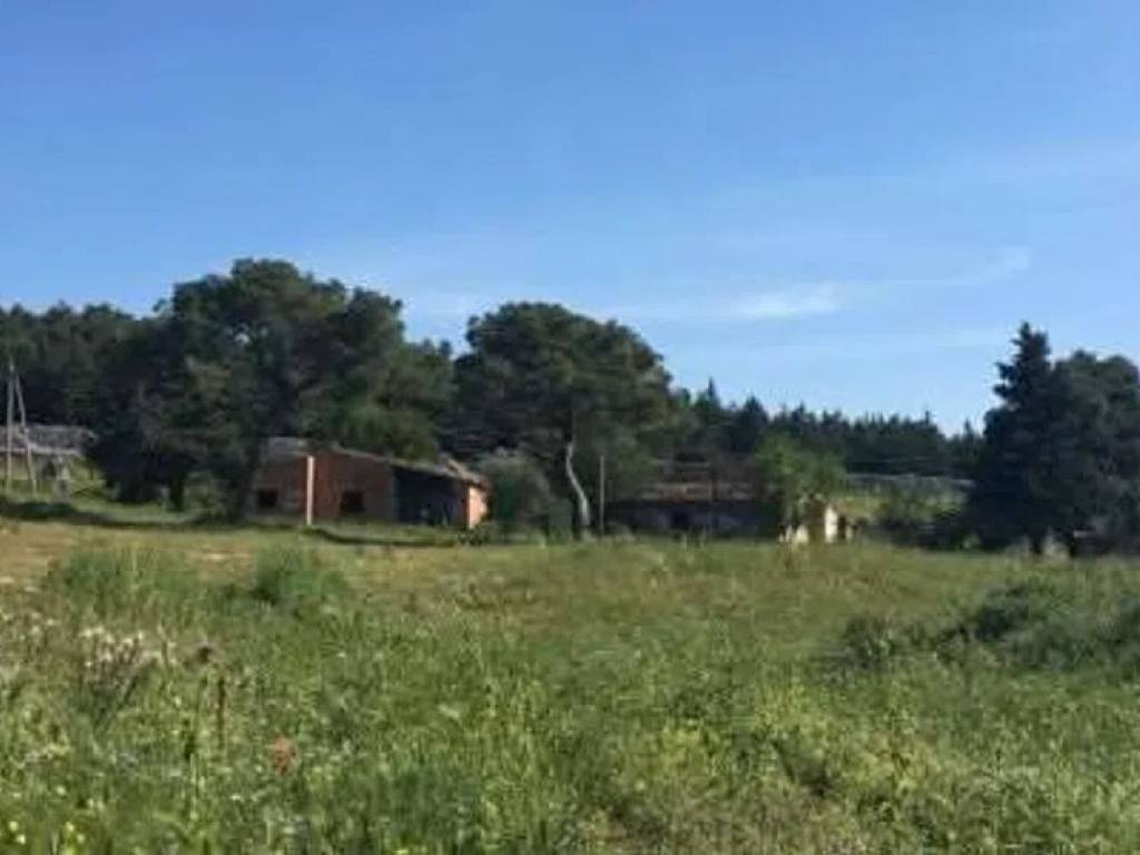 casa indipendente in vendita a Bitonto