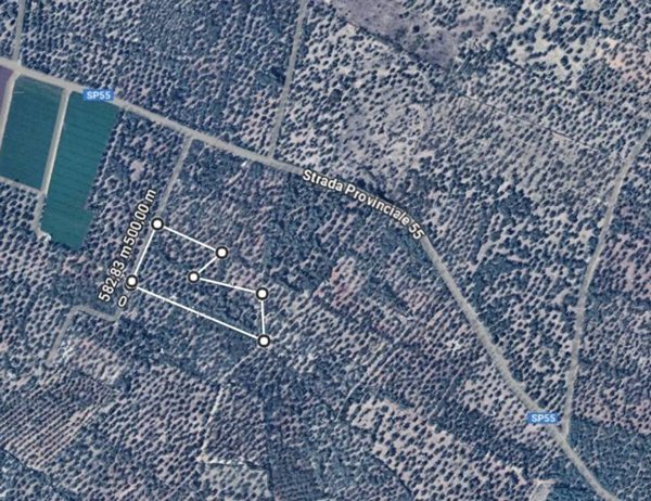 terreno agricolo in vendita a Bitonto