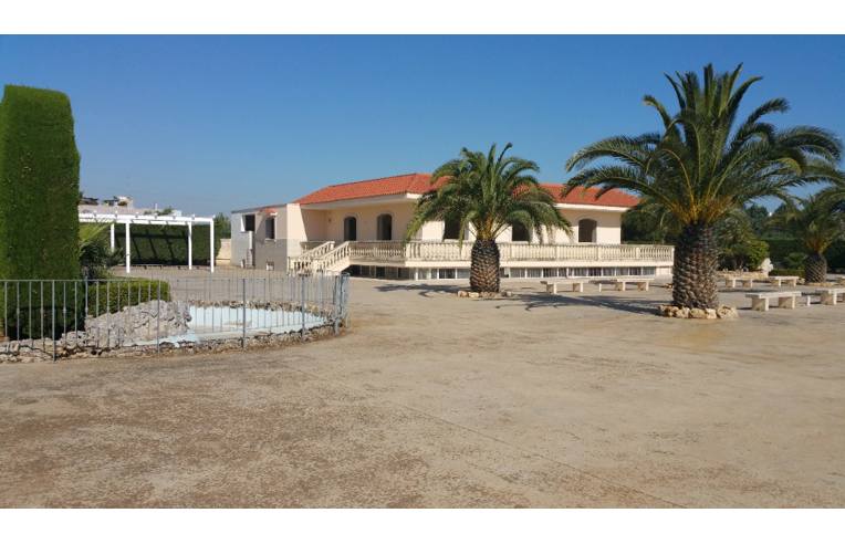 negozio in vendita a Bitonto