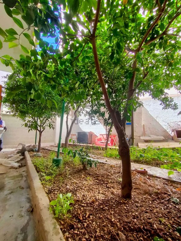 appartamento in vendita a Bitonto in zona Palombaio