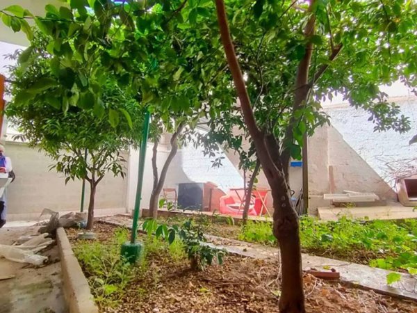 appartamento in vendita a Bitonto in zona Palombaio