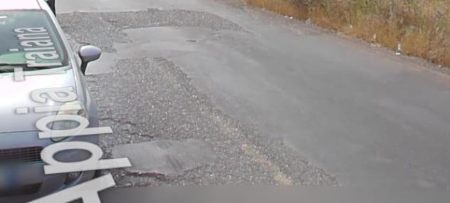 terreno agricolo in vendita a Bitonto