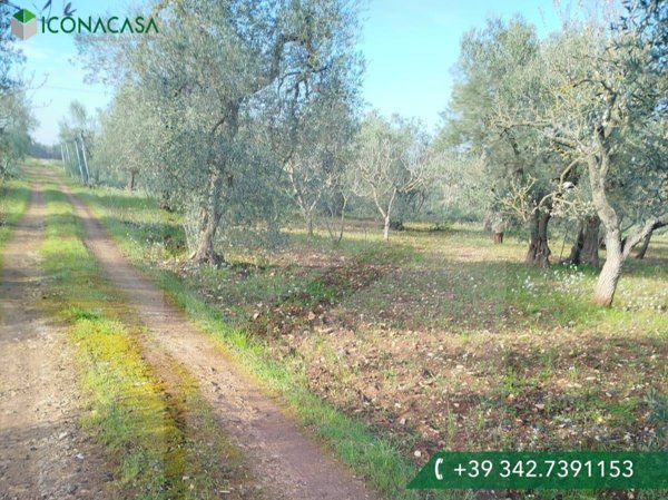terreno edificabile in vendita a Bitonto in zona Borgo Antico