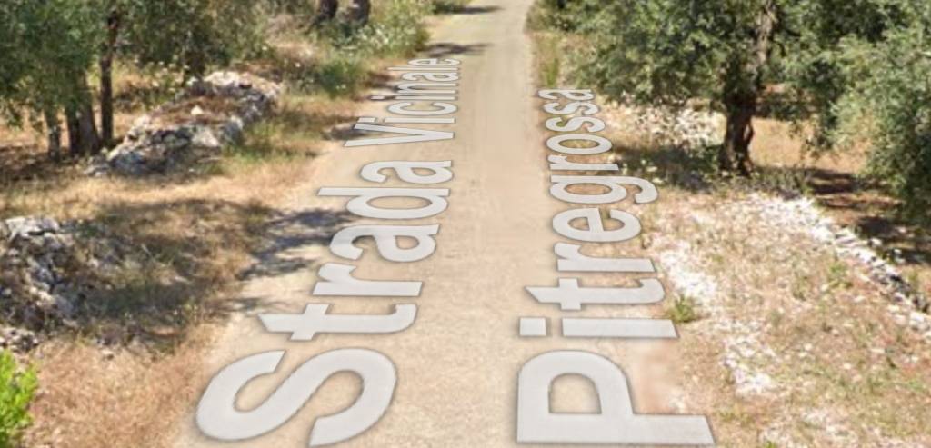 terreno agricolo in vendita a Bitonto