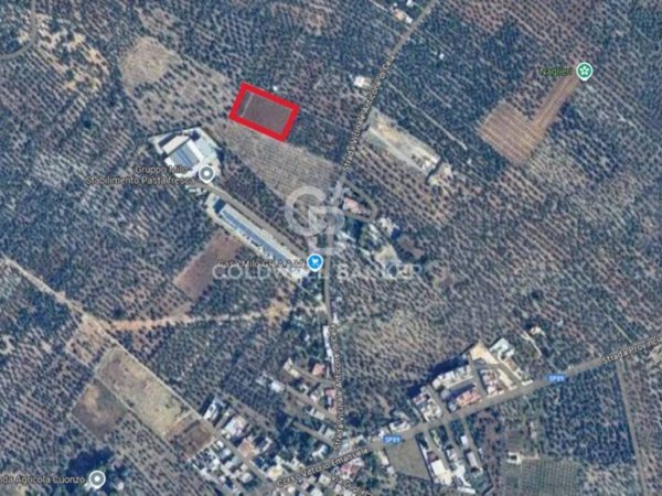 terreno agricolo in vendita a Bitonto in zona Palombaio