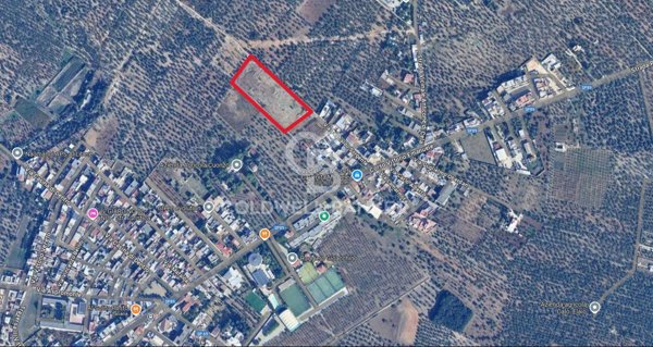 terreno agricolo in vendita a Bitonto in zona Palombaio