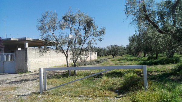 terreno agricolo in vendita a Bitonto