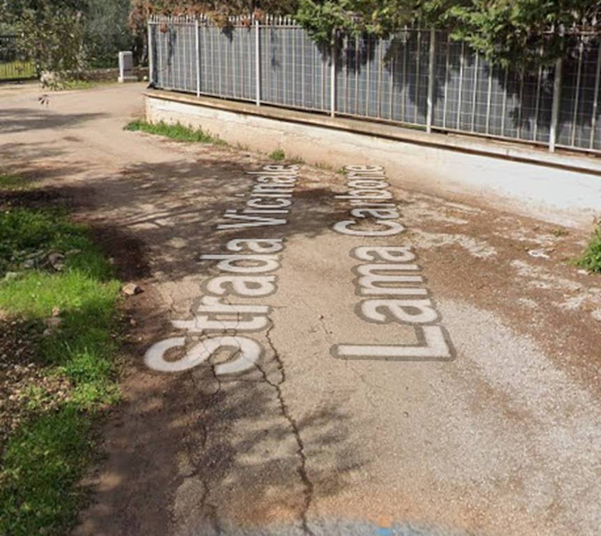 terreno agricolo in vendita a Bitonto