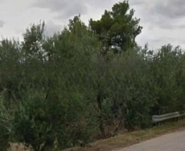 terreno agricolo in vendita a Bitonto